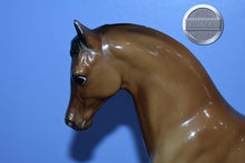 Load image into Gallery viewer, Sheik-Family Arabian Stallion Mold-Breyer Traditional
