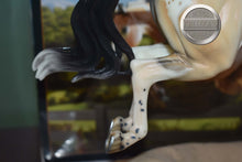 Load image into Gallery viewer, Bristol-Premier Club Exclusive-Original on the Mold-Breyer Traditional