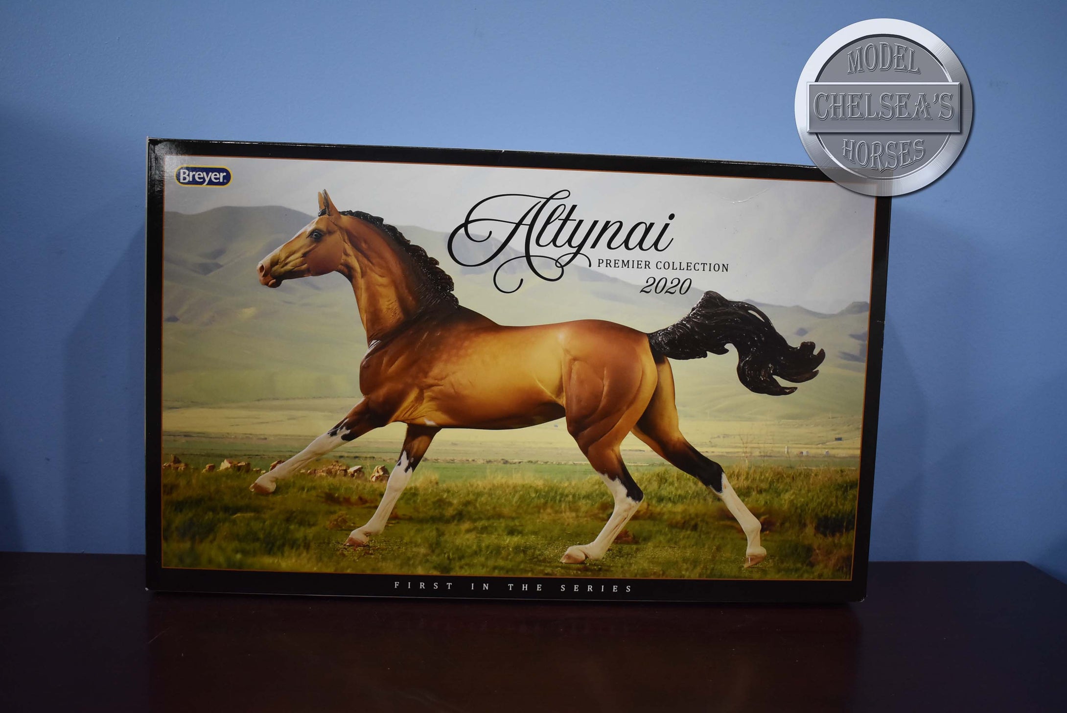 Altynai-Premier Club Exclusive-Akhal Teke Mold-Breyer Traditional