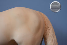 Load image into Gallery viewer, Winner&#39;s Circle-Breyerfest Exclusive-Adios Mold-Breyer Traditional