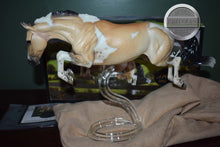 Load image into Gallery viewer, Bristol-Premier Club Exclusive-Original on the Mold-Breyer Traditional