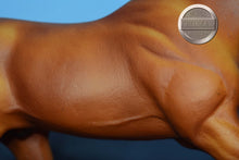 Load image into Gallery viewer, Biko-Olympic Team-Gem Twist Mold-Breyer Traditional