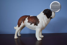 Load image into Gallery viewer, Bucky-Breyerfest Exclusive-Beethoven Mold-Breyer Traditional