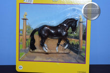 Load image into Gallery viewer, Mini Valegro-New on Card-Valegro Mold-Breyer Stablemate