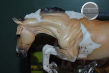 Load image into Gallery viewer, Bristol-Premier Club Exclusive-Original on the Mold-Breyer Traditional
