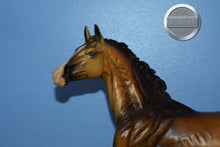 Load image into Gallery viewer, Altynai-Premier Club Exclusive-Akhal Teke Mold-Breyer Traditional