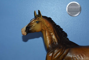 Altynai-Premier Club Exclusive-Akhal Teke Mold-Breyer Traditional