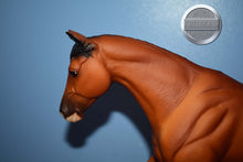 Load image into Gallery viewer, Biko-Olympic Team-Gem Twist Mold-Breyer Traditional