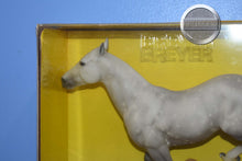 Load image into Gallery viewer, Silver Comet-Polo Pony Mold (Hobo)-New in Box-Breyer Classic