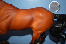Load image into Gallery viewer, Biko-Olympic Team-Gem Twist Mold-Breyer Traditional