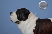 Load image into Gallery viewer, Bucky-Breyerfest Exclusive-Beethoven Mold-Breyer Traditional