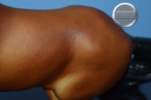Load image into Gallery viewer, Biko-Olympic Team-Gem Twist Mold-Breyer Traditional