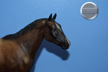 Load image into Gallery viewer, Bay Roan Blanket Appaloosa-Appaloosa Performance Horse Mold-Breyer Traditional