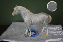 Load image into Gallery viewer, Time to Party-Breyerfest Exclusive-Misty Mold-Breyer Traditional