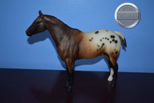 Load image into Gallery viewer, Bay Roan Blanket Appaloosa-Appaloosa Performance Horse Mold-Breyer Traditional