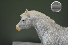 Load image into Gallery viewer, Time to Party-Breyerfest Exclusive-Misty Mold-Breyer Traditional