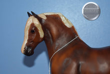 Load image into Gallery viewer, Montanara-Breyerfest Exclusive-Freisian Mold-Breyer Traditional