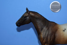 Load image into Gallery viewer, Bay Roan Blanket Appaloosa-Appaloosa Performance Horse Mold-Breyer Traditional