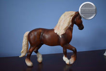 Load image into Gallery viewer, Montanara-Breyerfest Exclusive-Freisian Mold-Breyer Traditional