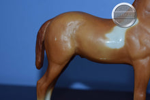 Load image into Gallery viewer, Light Chestnut Pinto Foal-Standing Stock Foal Mold-Breyer Traditional