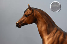 Load image into Gallery viewer, Bay Mare-Proud Arabian Mare-Breyer Traditional
