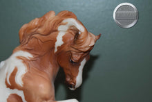 Load image into Gallery viewer, Beachcomber-Connemara Mare Mold-Breyer Traditional