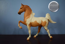 Load image into Gallery viewer, A Class Act-Five Gaiter Mold-Breyer Traditional