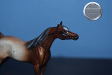 Load image into Gallery viewer, Deete-Special Run-Arabian Chip-Peter Stone Chip