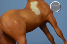 Load image into Gallery viewer, Light Chestnut Pinto Foal-Standing Stock Foal Mold-Breyer Traditional
