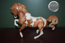 Load image into Gallery viewer, Beachcomber-Connemara Mare Mold-Breyer Traditional