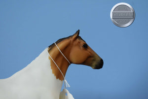 Gangster Pony-Galiceno Mold ONLY-Breyer Traditional