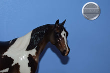 Load image into Gallery viewer, Yum Yum-XFCM Ideal Stock Horse-LE of 20-Peter Stone