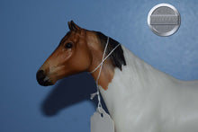 Load image into Gallery viewer, Gangster Pony-Galiceno Mold ONLY-Breyer Traditional
