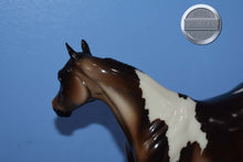 Load image into Gallery viewer, Yum Yum-XFCM Ideal Stock Horse-LE of 20-Peter Stone