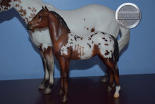 Load image into Gallery viewer, Surrey and Axle #2-Breyerfest Exclusive-Lady Phase and Standing Stock Horse Foal Mold-Breyer Traditional