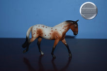 Load image into Gallery viewer, Bay Appaloosa Cob-Irish Cob Mold-Breyer Stablemate