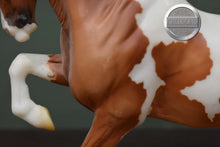 Load image into Gallery viewer, Beachcomber-Connemara Mare Mold-Breyer Traditional