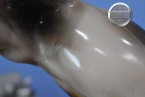 Yum Yum-XFCM Ideal Stock Horse-LE of 20-Peter Stone