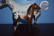 Load image into Gallery viewer, Surrey and Axle #2-Breyerfest Exclusive-Lady Phase and Standing Stock Horse Foal Mold-Breyer Traditional