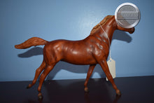 Load image into Gallery viewer, Theodore O Conner-Phar Lap Mold-Breyer Traditional