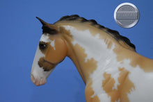 Load image into Gallery viewer, Buckskin Rotating Draft Surprise-Cleveland Bey Mold-Breyerfest Exclusive-Breyer Traditional