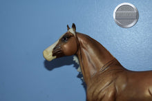 Load image into Gallery viewer, Big Chex to Cash-Smart Chic Olena Mold-Breyer Traditional