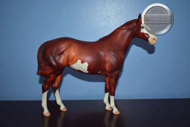 Ruby Keno-FCM Ideal Stock Horse-LE of 30-Peter Stone