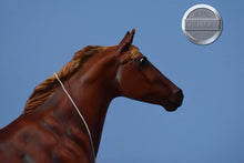 Load image into Gallery viewer, Theodore O Conner-Phar Lap Mold-Breyer Traditional