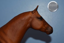 Load image into Gallery viewer, Doc Bar-Ideal Quarter Horse Mold-Breyer Traditional