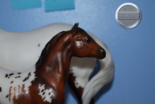 Load image into Gallery viewer, Surrey and Axle #2-Breyerfest Exclusive-Lady Phase and Standing Stock Horse Foal Mold-Breyer Traditional