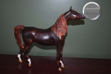 Load image into Gallery viewer, Zafirah-Premier Club Exclusive-Show Stance Arabian Mold-Breyer Traditional