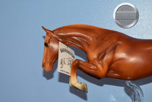 Load image into Gallery viewer, Barrington-Vintage Club Exclusive-Bristol Mold-New in Box-Breyer Traditional