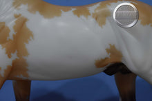 Load image into Gallery viewer, Buckskin Rotating Draft Surprise-Cleveland Bey Mold-Breyerfest Exclusive-Breyer Traditional