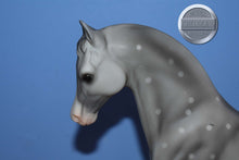 Load image into Gallery viewer, Calife-Family Arabian Stallion Mold-Breyer Traditional